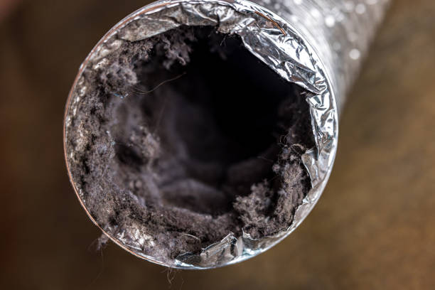 Best Air Duct Cleaning Near Me  in Elkhart, IN