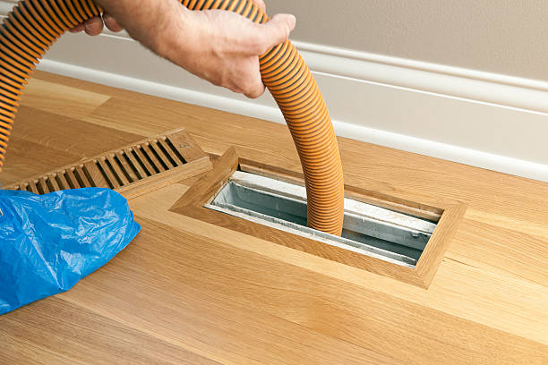 Best Air Duct Mold Removal  in Elkhart, IN