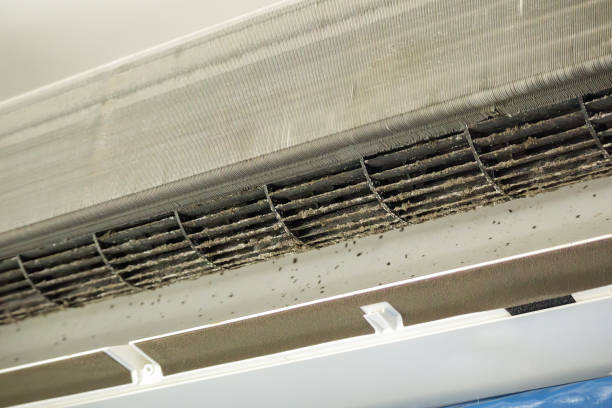 Air Duct Mold Removal in IN